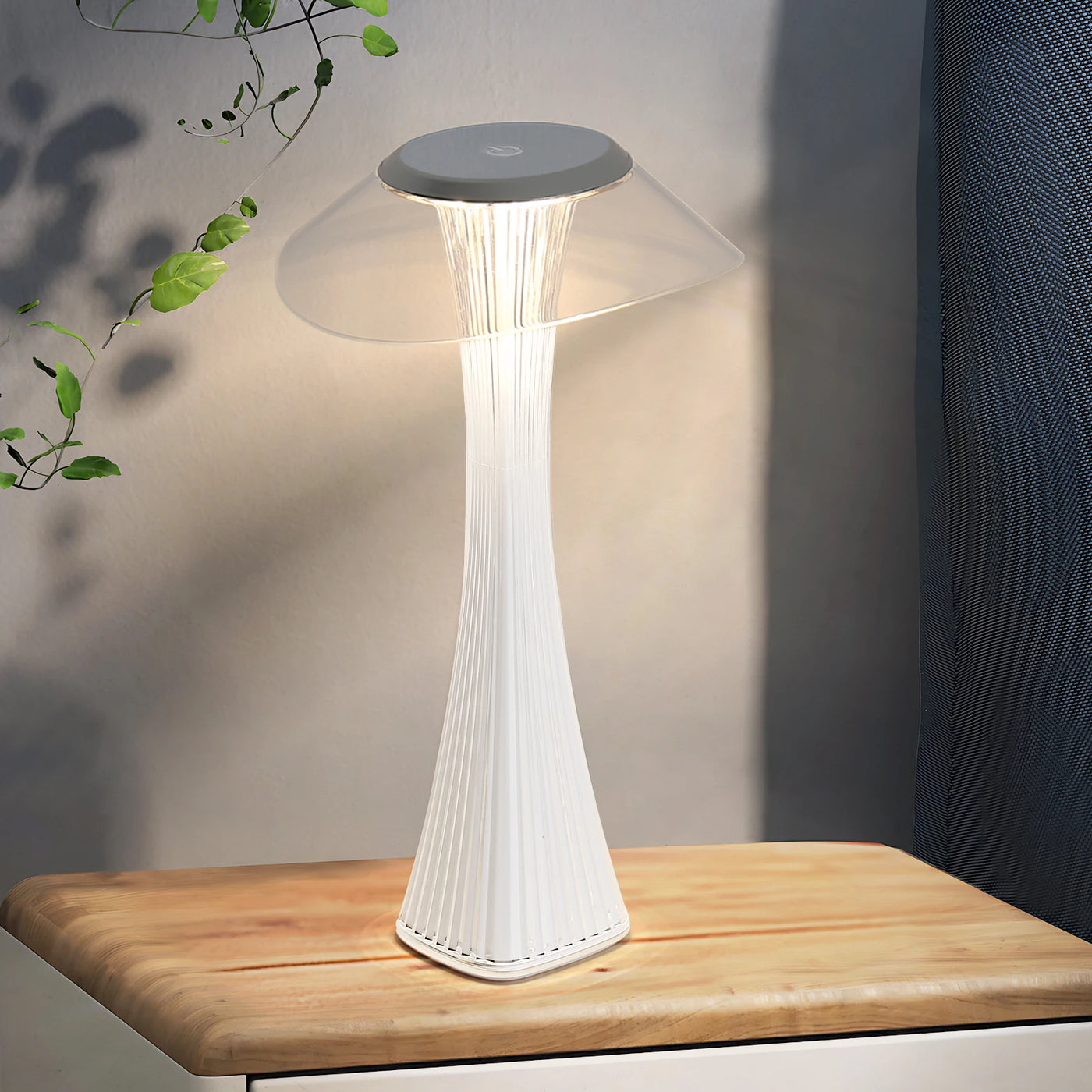 Touch-Dimmable LED Table Lamp - Rechargeable Mood Light for Indoor & Outdoor 8