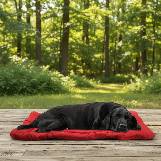 TravelMate - Foldable Waterproof Dog Mat for Outdoor Adventures 90x60cm 1