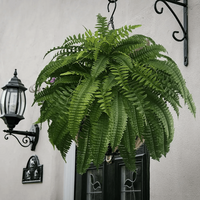 VERDAFERN – UV-Resistant Outdoor Greenery 1
