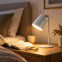 PIVOTRAY – Adjustable Desk Lamp for Flexible Light Direction