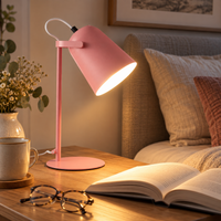 PIVOTRAY – Adjustable Desk Lamp for Flexible Light Direction