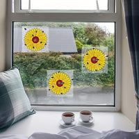 FLYFLOW – Sticky Window Insect Traps for Kitchens & Plants