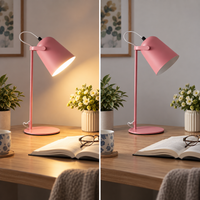PIVOTRAY – Adjustable Desk Lamp for Flexible Light Direction