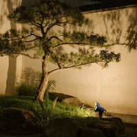 SPIKELUXA – 12V Garden Spike Lighting for Precise Garden Illumination