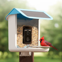 FEATHERIA – Smart Bird Feeder Camera for Up-Close Birdwatching