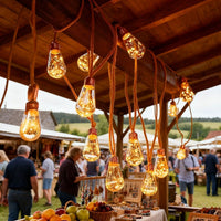 GLEAMLINE – Clear Bulb String Lights for Warm Decorative Glow